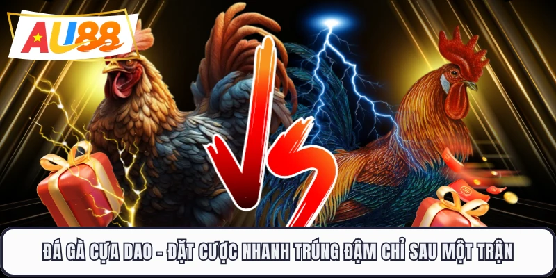 Đá Gà Cựa Dao - Đặt Cược Nhanh Trúng Đậm Chỉ Sau Một Trận